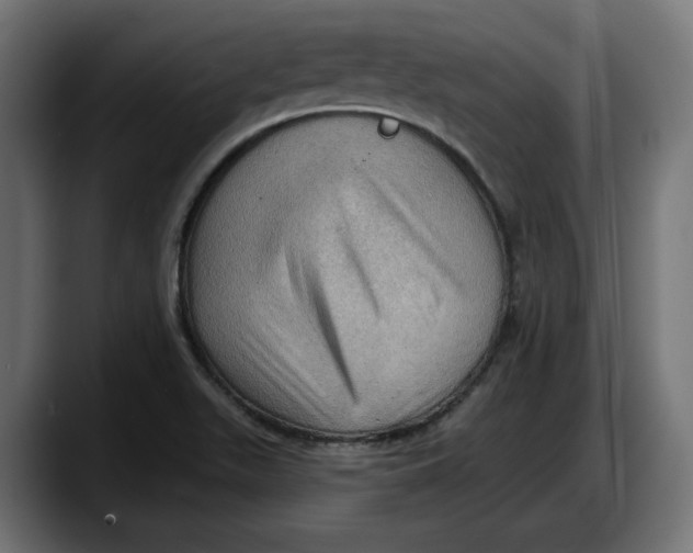X0000087741511200705291002