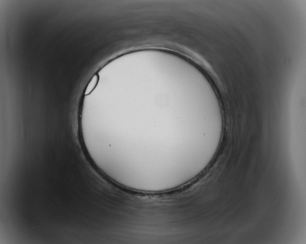 X0000087741512200705291002