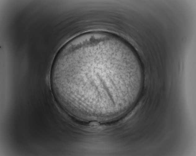 X0000087741513200705291002