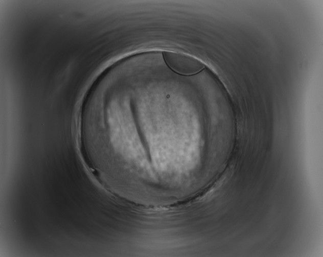 X0000087741515200705291002