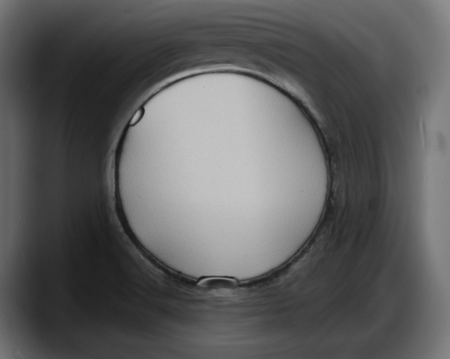 X0000087741516200705291002
