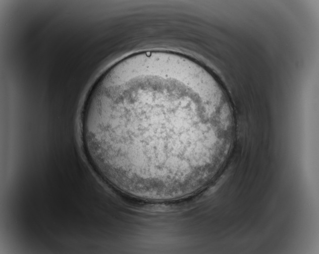 X0000087741517200705291002