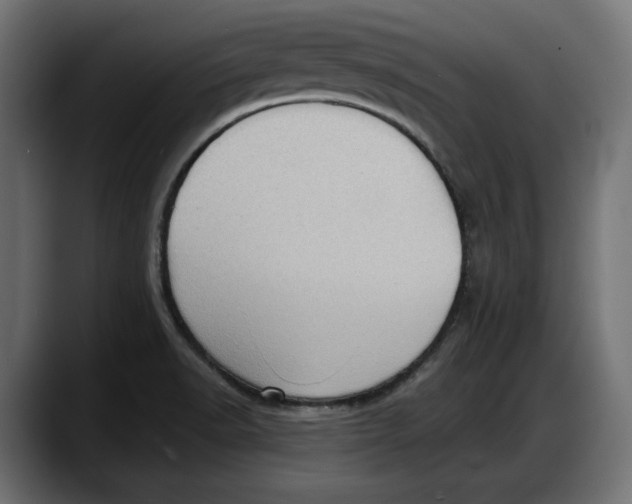 X0000087741518200705291002