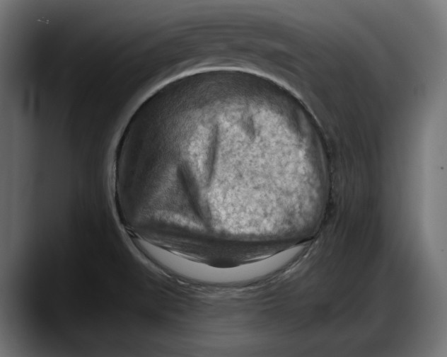 X0000087741519200705291002