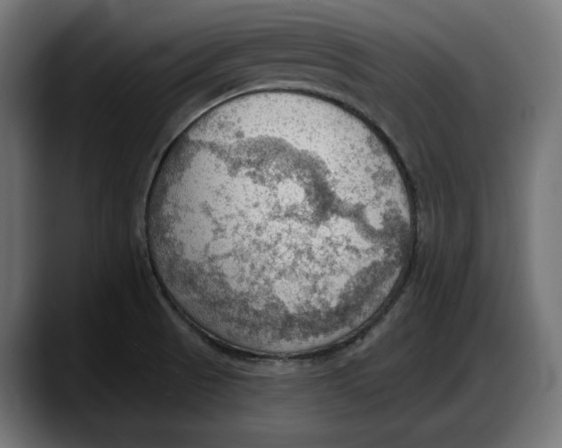 X0000087741521200705291002