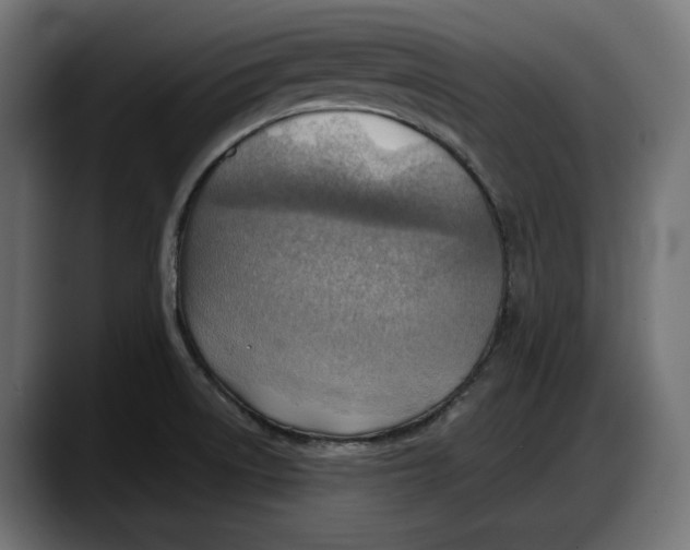 X0000087741522200705291002