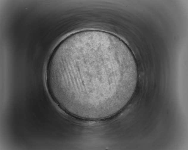 X0000087741523200705291002