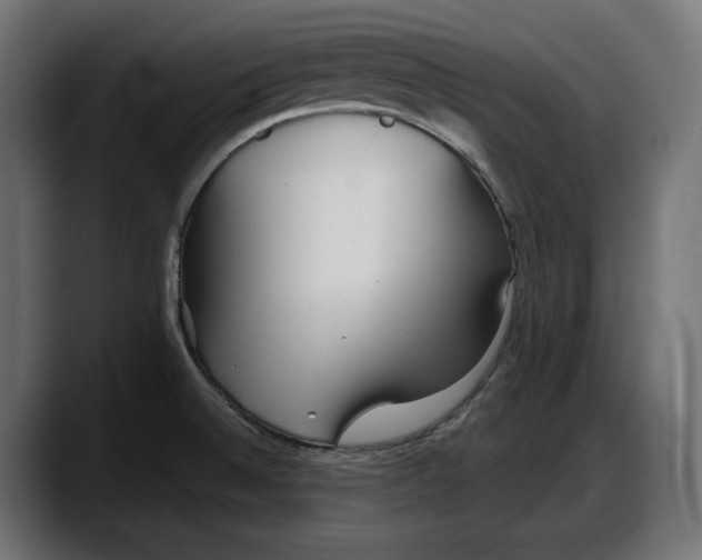 X0000087741524200705291002