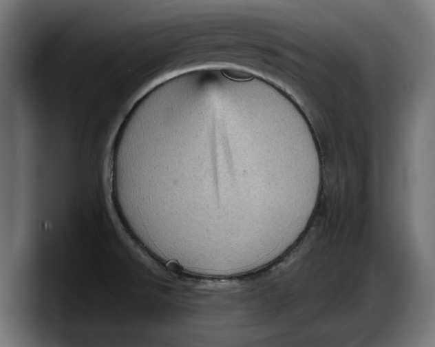 X0000087741526200705291002