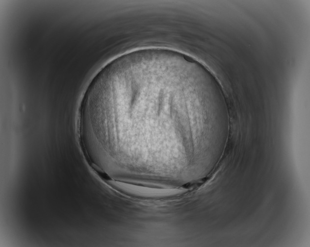 X0000087741527200705291002