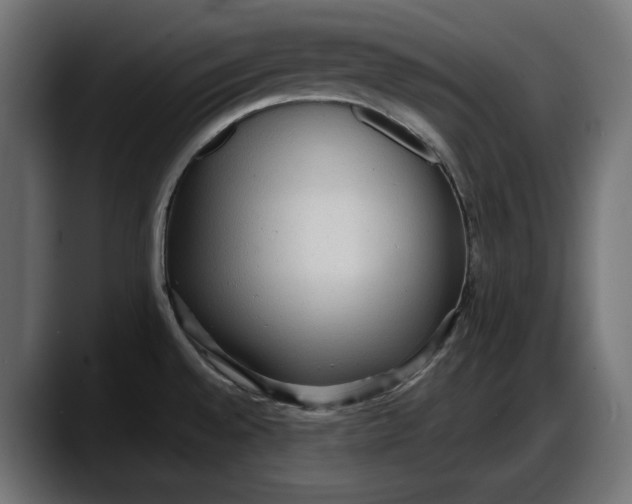 X0000087741528200705291002