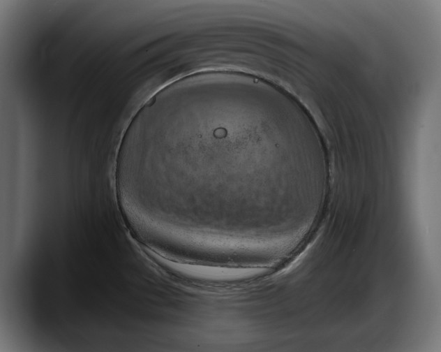 X0000087741529200705291002