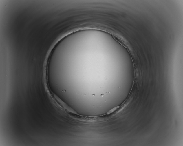 X0000087741530200705291002