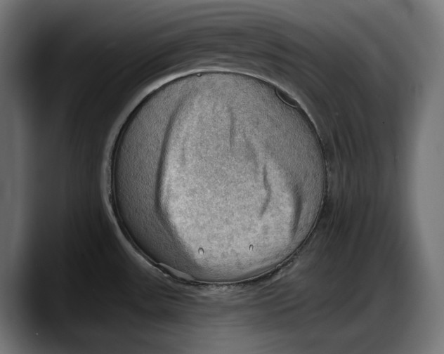 X0000087741531200705291002