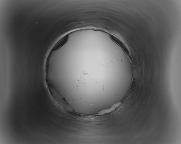 X0000087741532200705291002