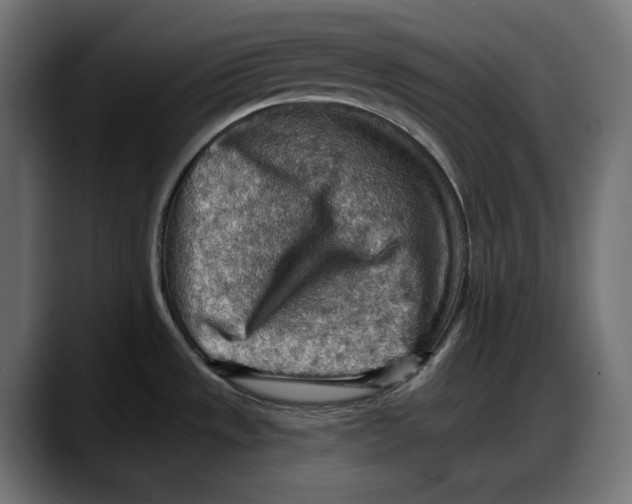 X0000087741533200705291002