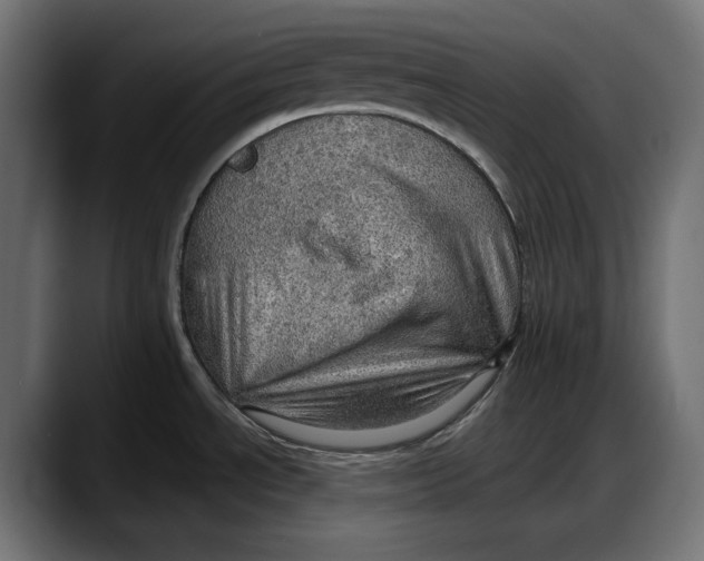 X0000087741534200705291002