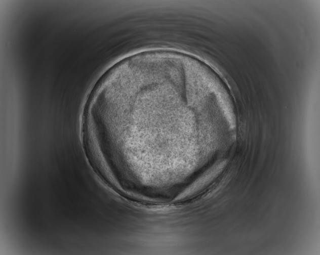 X0000087741535200705291002