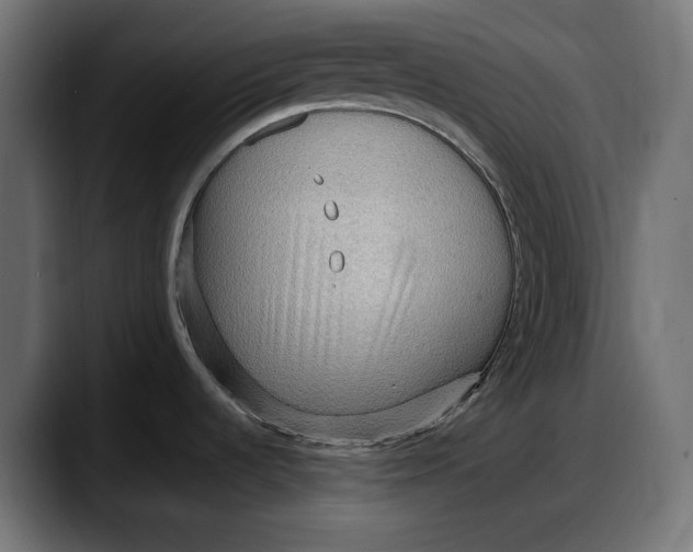 X0000087741536200705291002