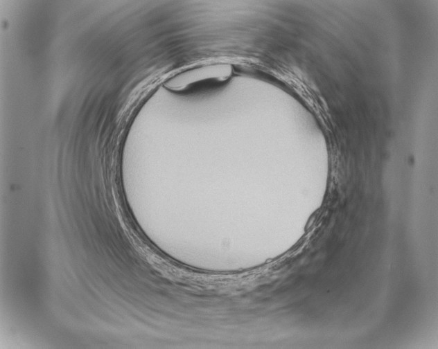 X0000087740001200706041048