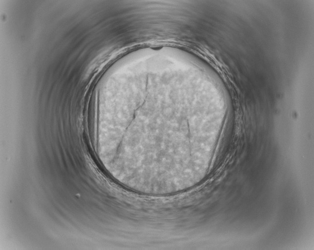 X0000087740002200706041048