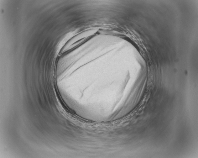 X0000087740003200706041048