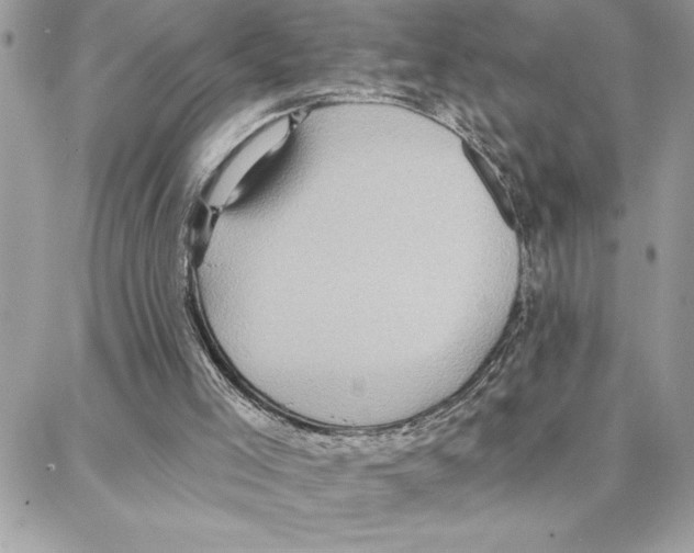 X0000087740005200706041048