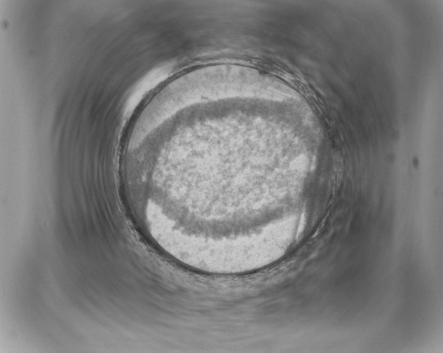 X0000087740006200706041048