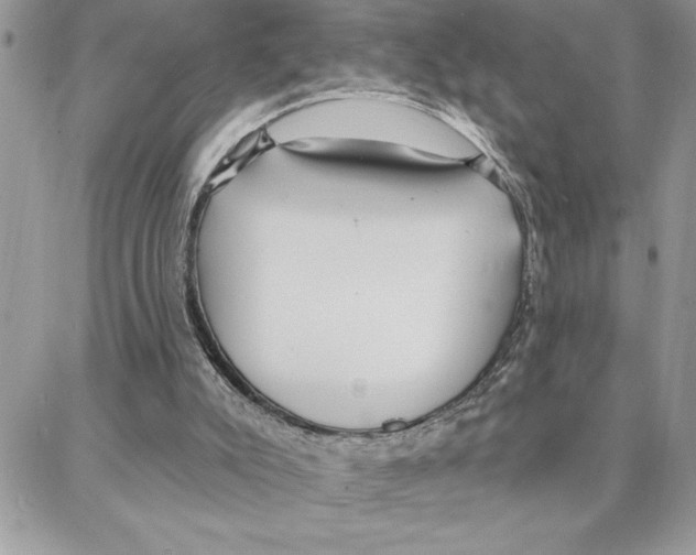 X0000087740007200706041048