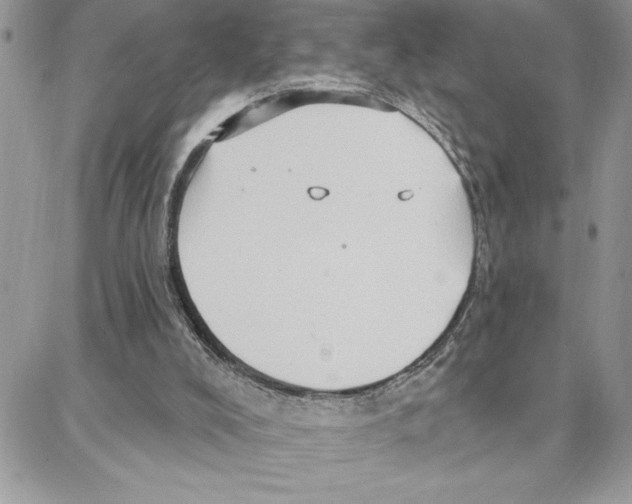 X0000087740008200706041048