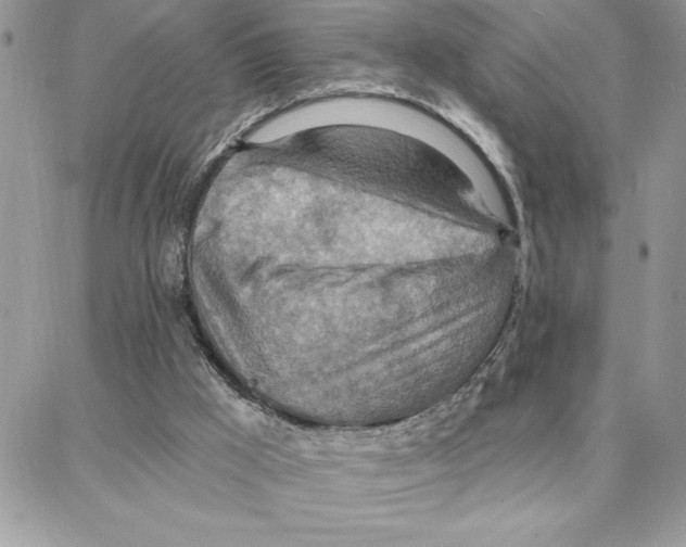 X0000087740009200706041048