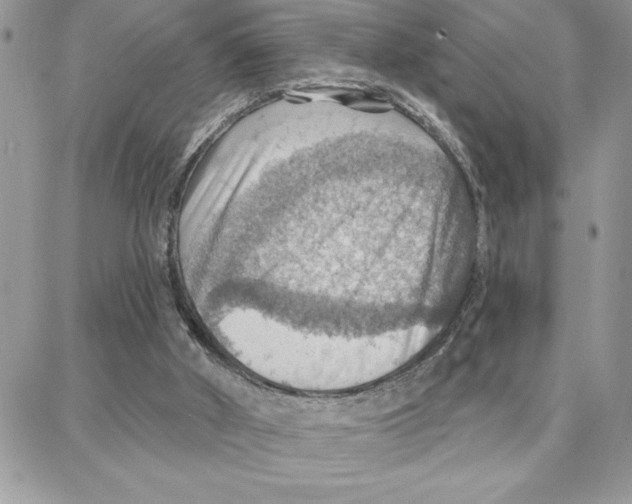 X0000087740010200706041048