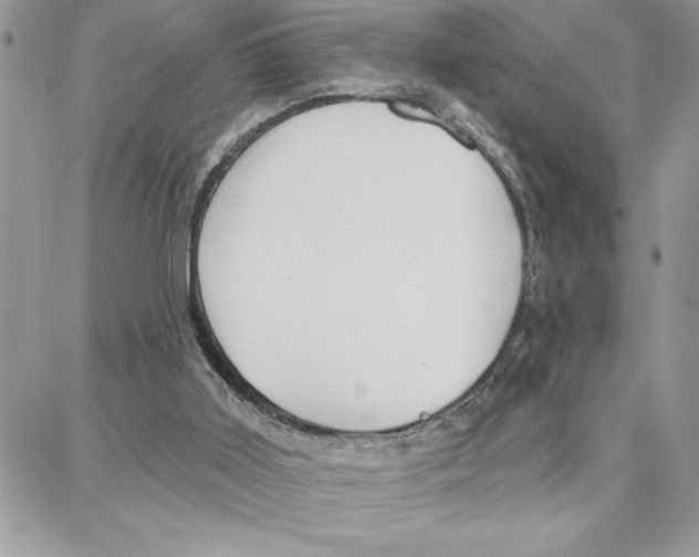 X0000087740011200706041048