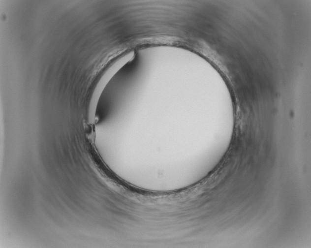 X0000087740013200706041048