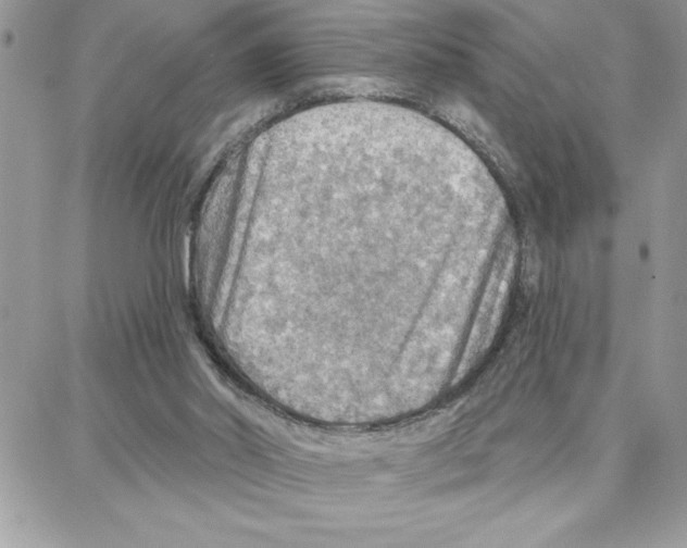 X0000087740014200706041048