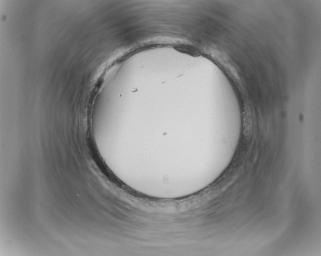 X0000087740015200706041048