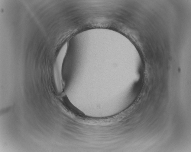 X0000087740017200706041048