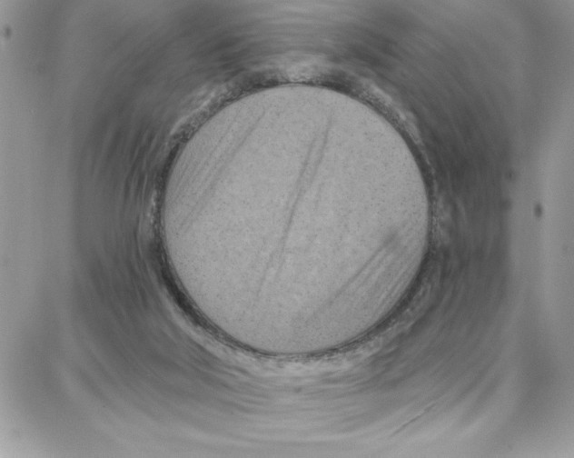 X0000087740018200706041048