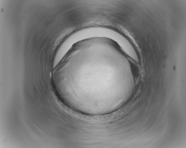 X0000087740019200706041048