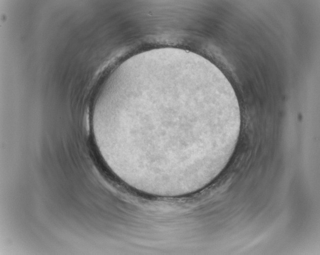 X0000087740020200706041048