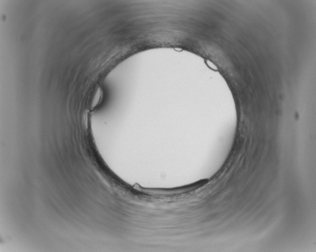 X0000087740021200706041048