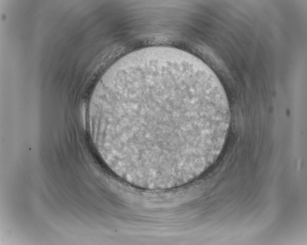 X0000087740022200706041048