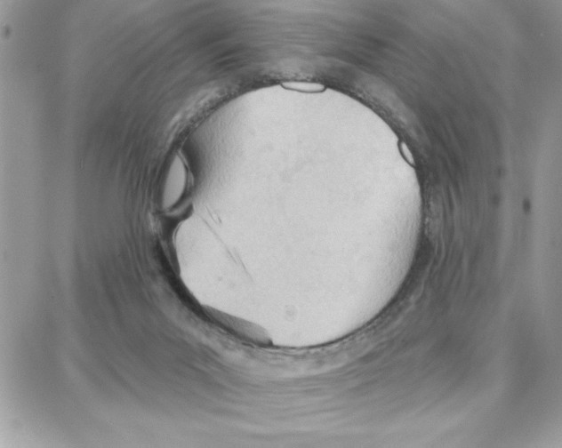 X0000087740023200706041048