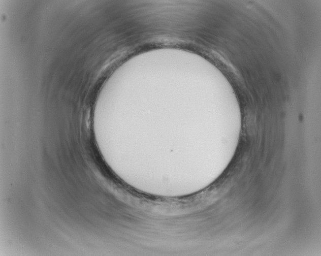 X0000087740024200706041048