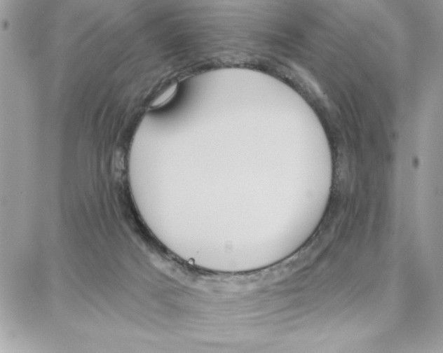 X0000087740025200706041048