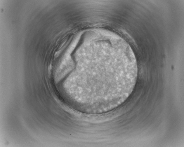 X0000087740026200706041048