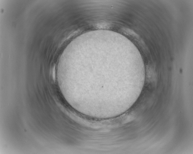 X0000087740028200706041048