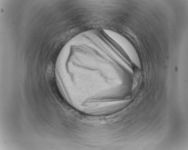 X0000087740029200706041048