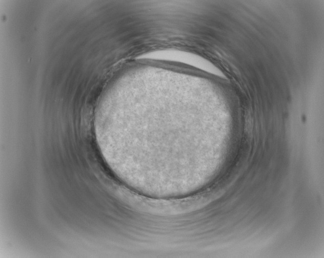 X0000087740030200706041048