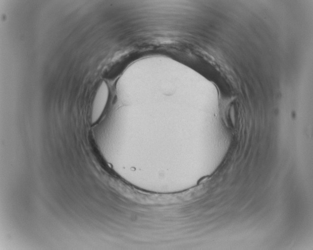 X0000087740031200706041048